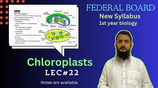 Plastids  structure and functions of chloroplast  class 11 [upl. by Sueahccaz]