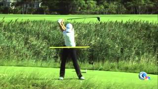 Rory Mcilroy rips it 350 yards slow motion pro analysis afterwards [upl. by Fernanda]