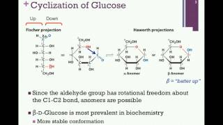 075Cyclization of Sugars [upl. by Dugaid]