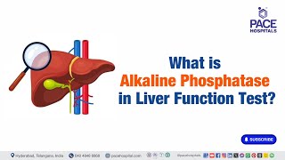 Alkaline Phosphatase  What is Alkaline Phosphatase in Liver Function Test  liverfunctiontest [upl. by Ah]