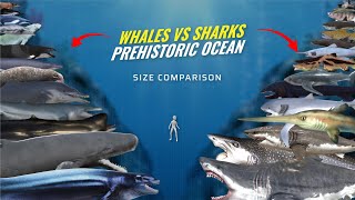 Prehistoric Whales vs Ancient Sharks Size Comparison  EXTINCT SEA MONSTERS [upl. by Aiet]