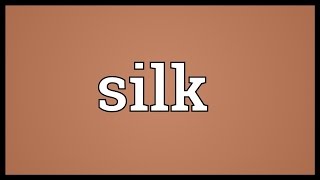 Silk Meaning [upl. by Hsirk]