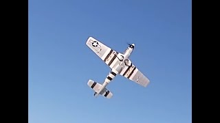 P51 Attracting Flies [upl. by Tanitansy625]