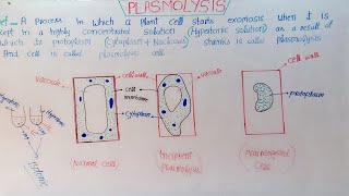 Plasmolysis And Deplasmolysis In HindiUrdu [upl. by Liagaba]