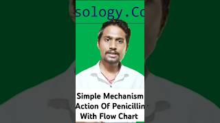 Mechanism Action Of Beta Lactam Antibiotics In pharmocolog For Bsc Nursing 4th Semester nursing [upl. by Madancy547]