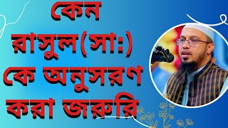 রাসুলুল্লাহ সাঃ কে অনুসরণ করা কেন অতি জরুরি শায়খ আহমাদুল্লাহ। [upl. by Milon]