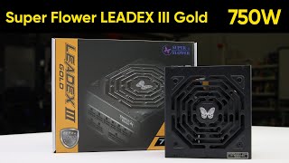 Super Flower LEADEX III Gold 750W Power Supply  LABS Test Report [upl. by Zonnya]