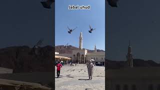 Jabaluhud hajj2024 madina umrah shorts makkah live madina live naat naatsharif new naat sharif [upl. by Harwill543]