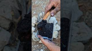 Waterproof Fire Starter From Coal and Wood Shavings survival lifehacks skills [upl. by Naujej257]