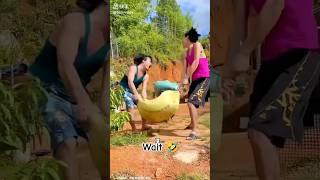 Fail Chinese Comedy Video 🤣 chinafunny china funny unbelievablestories badluck shorts [upl. by Fennell232]