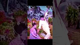 lMPOSSlBLE 🍷🗿 Tumne Pukara Aur Hum Chale Aaye  Mohammed Rafi Superhit Romantic Song status video [upl. by Cale]