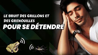 Des Sons Naturels Pour Se Détendre Avec Le Bruit Des Grillons Et Des Grenouilles Dans Les Rizières [upl. by Reibaj]