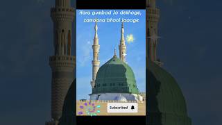 Hara gumbad Jo dekhoge zamaana bhool jaaoge  Anis Thoughts shorts islamic shorts islam [upl. by Hollingsworth]