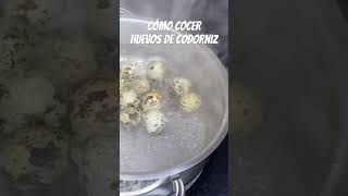 CÓMO COCER HUEVOS DE CODORNIZ 🥚🤤 ¡DELICIOSOS [upl. by Zondra]