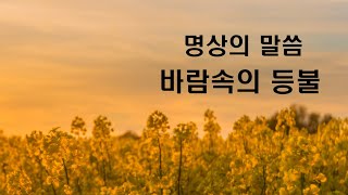 명상의 말씀  바람속의 등불 [upl. by Farleigh582]