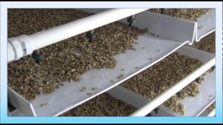 FarmTeks Fodder Tips  FodderPro 30 Commercial Feed System [upl. by Rimaa3]