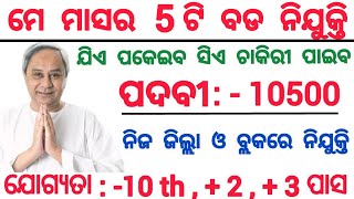 May Month Top Odisha Govt Jobs 2024  Apply Online For 10500 Post  Odisha Job Updates 2024 [upl. by Ardnatal877]