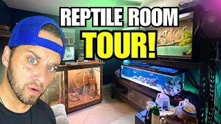 REPTILE ROOM TOUR JUNE 2024 Feeding All My Animals [upl. by Concha258]