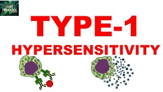 Type 1 Hypersensitivity  Anaphylaxis  Pathogenesis  Clinical features [upl. by Analram]