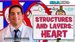 Cardiovascular  Structures and Layers of the Heart [upl. by Niwri]