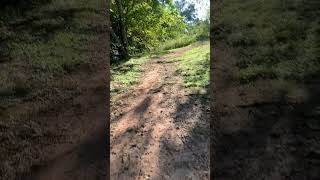 OneWheel Pint  Lagoon Park Creek Trail exit mixed surface [upl. by Adoree]