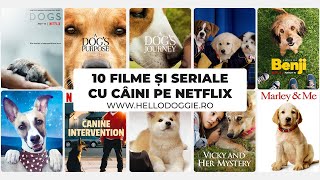 TOP 10 FILME ȘI SERIALE CU CÂINI PE NETFLIX 🔥🍿 [upl. by Nawud489]