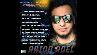 ARIDO ADEL  CHANSON AFAR [upl. by Helmut]