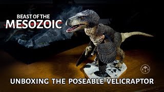 Unboxing and Posing the Beast of the Mesozoic Dromaeosaurus Velociraptor Series [upl. by Cordey]