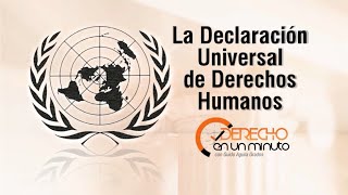 La Declaración Universal de Derechos Humanos en un minuto  DE1M  28 [upl. by Airamalegna471]