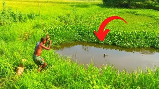 Traditional method se Tortoise Hunting  Amazing Place Fishing Video  Pond Fishing 🐠🐠 Village Man [upl. by Culley706]