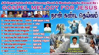 நான் கண்ட தெய்வம்  Nan Kanda Deivam MP3  romanticsong  rcsong  ThedalNeeyea  catholic [upl. by Nabroc166]