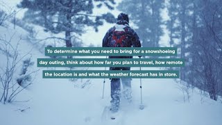 Winter Snowshoe Adventures in Wyoming [upl. by Hanoy]