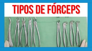 🔵 Tipos de FÓRCEPS DENTALES ✅ [upl. by Sparkie]