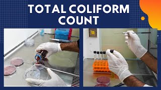 Total Coliform Count TCCA Complete Procedure ISO 48322006 [upl. by Oneil779]