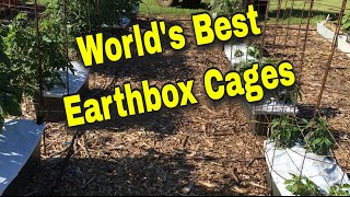 CAGING TOMATOES IN EARTHBOXES [upl. by Pierrette]