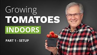 How to Grow Tomatoes Indoors  Part 1 Setup [upl. by Einner228]