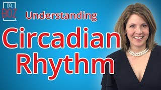 Circadian Rhythm and Intermittent Fasting explained by Dr Boz [upl. by Wiersma]