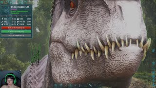 Ark Survival Evolved Indo Raptor Tame  Not EZ [upl. by Aerbua5]