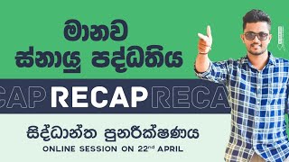 AL BIOLOGY මානව ස්නායු පද්ධතිය recap revision  Brain  Spinal cord මොළය සුශුම්නාව CNS  Unit 5 [upl. by Yllop]