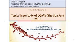 Type Study of Obelia Part I [upl. by Halimeda]