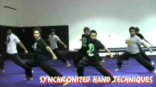 THE LOOPKICKS MARTIAL ARTS DEMO TEAM PROGRAM [upl. by Squier556]