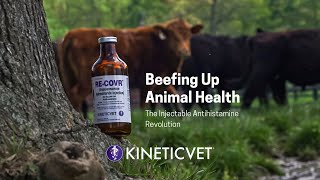 Veterinary Recommended Fast Recovery Solution For Your Herd [upl. by Kristel]