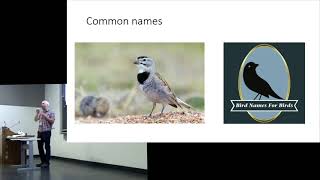 Matthew Morris “A Longspur by Any Other Name  Renaming Species” ASA 2023 [upl. by Strohl]