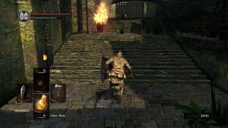 I wasted all my souls Dark Souls Remastered SL1 Part 2 [upl. by Flavian]