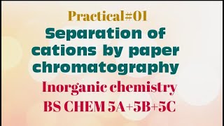 Practical 01 separation of cations by paper chromatography  inorganic chemistry  BS CHEM 5A 5B 5C [upl. by Terris42]