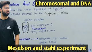 Meselson and stahl experiment  Class 12 Biology [upl. by Philly569]