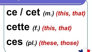 French Lesson 93  Demonstrative Adjectives THIS THAT  Adjectifs démonstratifs CE CET CETTE CES [upl. by Nhor]