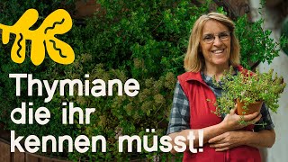 ThymianVielfalt 6 Arten Sorten die deinen Garten Küche und Gesundheit bereichern [upl. by Dix]