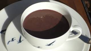 Heiße Schokolade aus Kakaopulver selber machen Rezept heiße Trinkschokolade hot chocolate [upl. by Tnerual778]