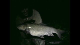 quotK04quot  River Kennet and Loddon Barbel Fishing 2004 [upl. by Akinohs]